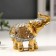 Souvenir Polystone "Golden Elephant in the Mirror Popon" 8.5x9.2x3.7 cm mix