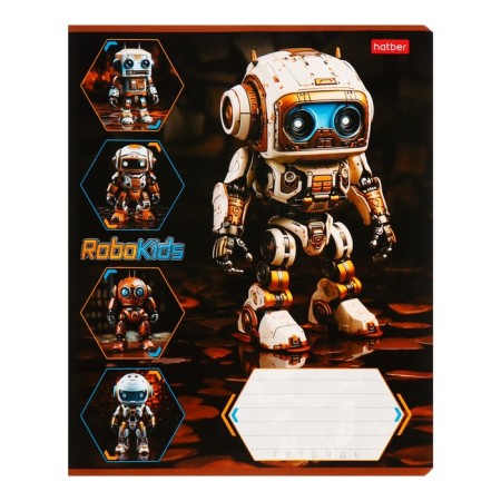 A notebook of 18 sheets in the Robo line, cover coated cardboard, rounded corners, an offset block 65g/m2, 5vids, mix-2