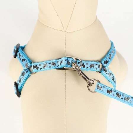 Set "Dogs", leash 120 x 1 cm, og 23-35 cm, blue-3