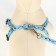 Set "Dogs", leash 120 x 1 cm, og 23-35 cm, blue