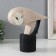 Souvenir Polystone "Owl - the user of the siberian on the stand" Sanding 28x8.8x20 cm