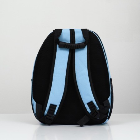 A backpack for carrying animals with a viewing window, blue-3