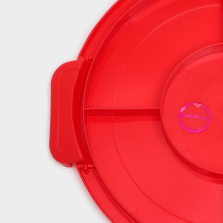 A dish for a cake and cakes with a lid of a share, 30.5 × 21.5 cm, color mix-8
