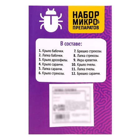 Set for experiments "Set of micropreparations", insects-6
