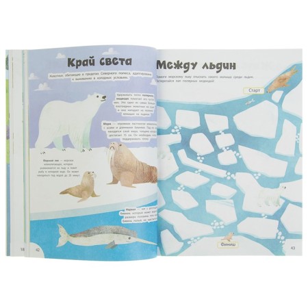 Entertaining book "Wild Animals"-4