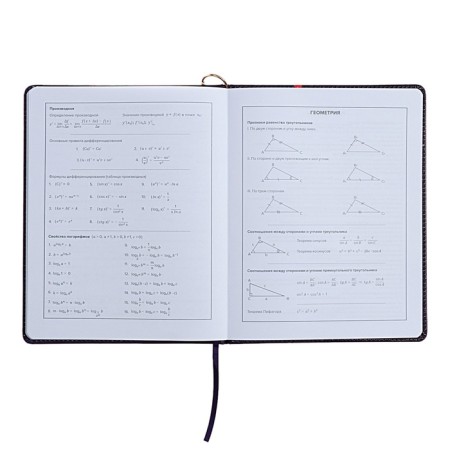 Universal Diary Grade 1-11, 48 sheets "Magic Cat", a solid cover of artificial leather, lies, universal cheat sheet, block 80 g/m2-12