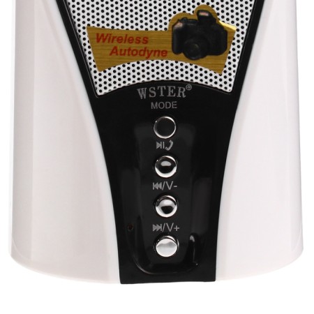 Portable column WS-133, 3 W, Microsd, FM, USB, White-2