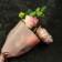Package Flower cone, pink, 28x9x44cm ± 1cm