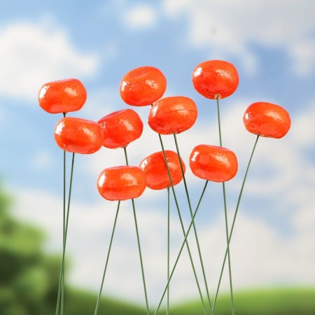 Set of plugs "Mandarin" 10pcs, 3cm, length 25cm-2
