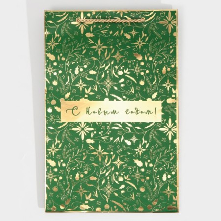 Laminated package “I want to a fairy tale”, 23 x 35 x 20 cm, new year-5