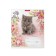 Notebook of 12 sheets in the Murziki cage, cover coated cardboard, offset unit, mix