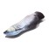Toy "Fish of my dreams!" with cat mint, arapayma, 20 cm