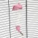 Drill for rodents "Pijon", 250 ml, pink