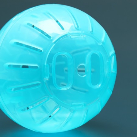A ball for rodents 12 cm, blue-3