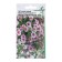 Flowers of Petunia Mini multi -flowered "Pendolino Rose Ice F1" f, 5 pcs