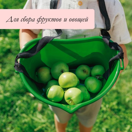 Berry collection capacity, 3 l, green-5