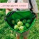 Berry collection capacity, 3 l, green
