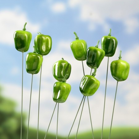 Set of plugs "Pepper" 10pcs, 3cm, length 25cm-2