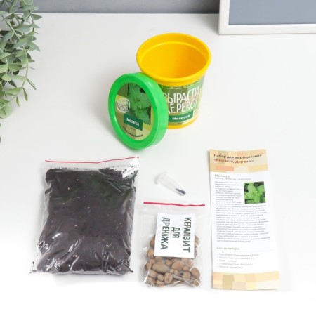 Gift set for growing plants "grow, tree! Melissa"-1