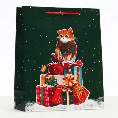 Gift package "Salute", 26 x 32 x 12 cm-2