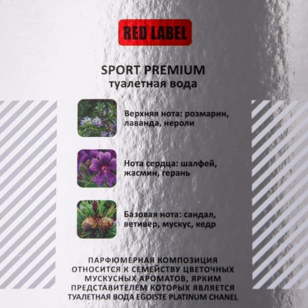 Men's toilet water Sport Premium, 100 ml (based on Egoiste Platinum (Chanel)-2