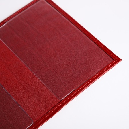 Passport cover, crocodile, red color-5