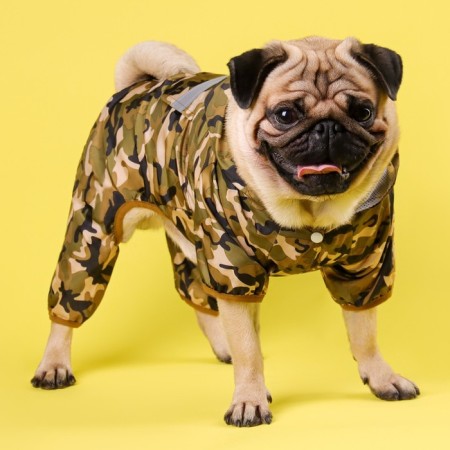 Combiason for dogs, demi -season with a lining, size L (DS 32, OG 48 cm), camouflage