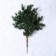 Decor "Branch of charming spruce"