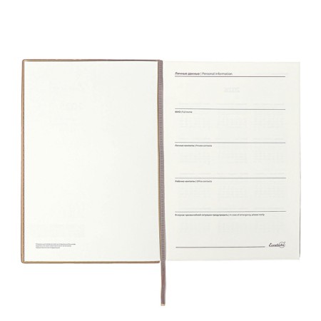 Dated 2025 diary, Escalada, A5+ 176 sheets, integral cover, artificial leather, foil embroidery, lies, block 80 g/m2, beige-6