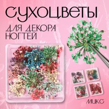 Сухоцветы для декора ногтей, 4 вида, в футляре, разноцветные