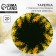 The plate round "Tender Mimosa", 20 cm