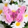 Butterflies for decor and floristry, on the clothespin, plastic, mix, 5 cm and 8 cm