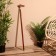 Cane 96 cm, wood shisham