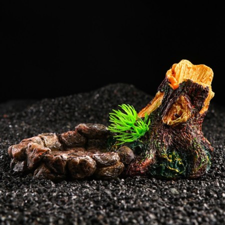 Terrarium feeder, 17.5 x 11.5 x 8.5 cm-5