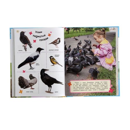 Big Encyclopedia in Pictures-2