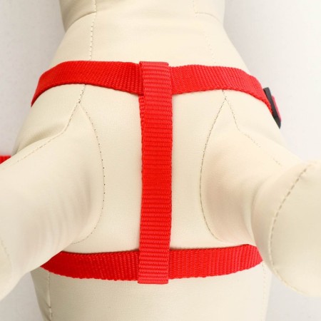 Set "Basis", leash 120 x 1.5 cm, OG 32-46 cm, red-2