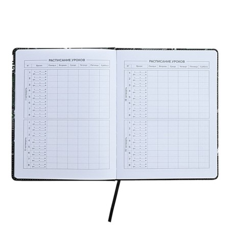Universal Diary Grade 1-11, 48 sheets "Buntar spirit", a solid cover of artificial leather, lies, universal cheat sheet, block 80 g/m2-5