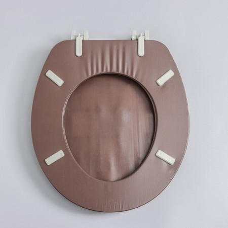 A toilet seat with a lid, soft, brown color, mix drawing-2