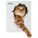 Stick 3D Interior cat 25*20cm