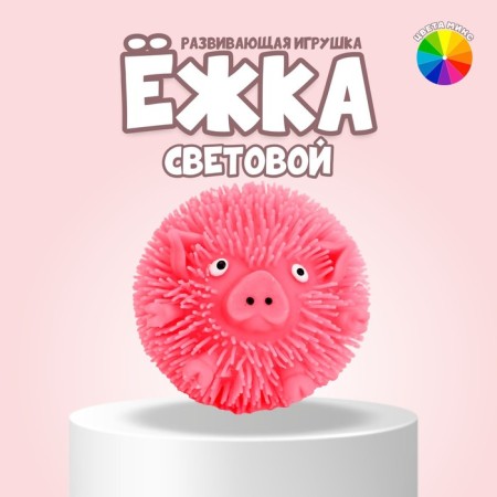 Hedgehog "Pig" light, Mix color