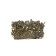 Gift green "brains", Moroccan mint, 20 g