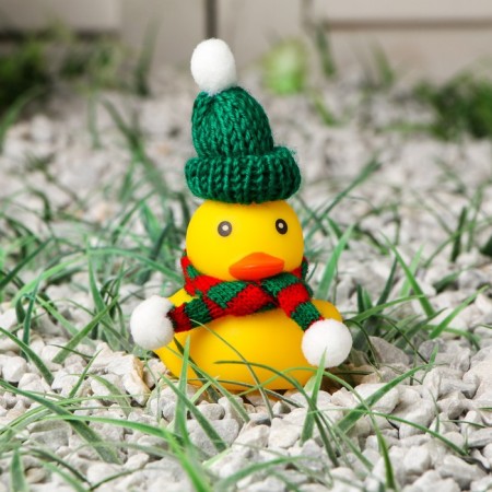 Duck with a scarf, yellow color, in a hat