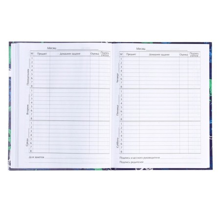 Diary for grades 1-4, "dinosaur 2", solid cover 7BC, glossy lamination, 48 sheets-4