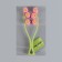 Facial massage "Bouquet", 22.5 × 6.5 × 3.5 cm, 12 videos, mixing color