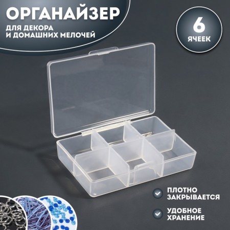 Organizer for decor, 6 cells, 9 × 6 × 2 cm, the color is transparent
