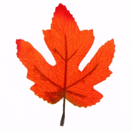 Decor "Autumn sheet" set of 15 pcs., Size 1 pc. - 9 × 11 × 0.2 cm, orange color-1