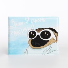 Cover for a student ticket, blue color
