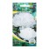 Flower seeds Astra Pionovid "White Tower", 0.2 g