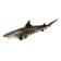 Figure "Tiger shark"