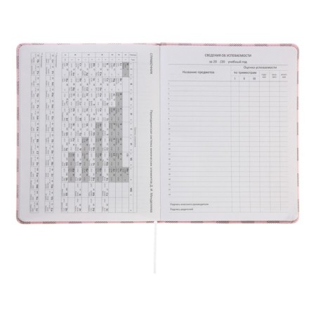 Universal diary for grade 1-11 Bear Collection, solid cover, artificial leather, silkography, lies, 80 g/m2-11